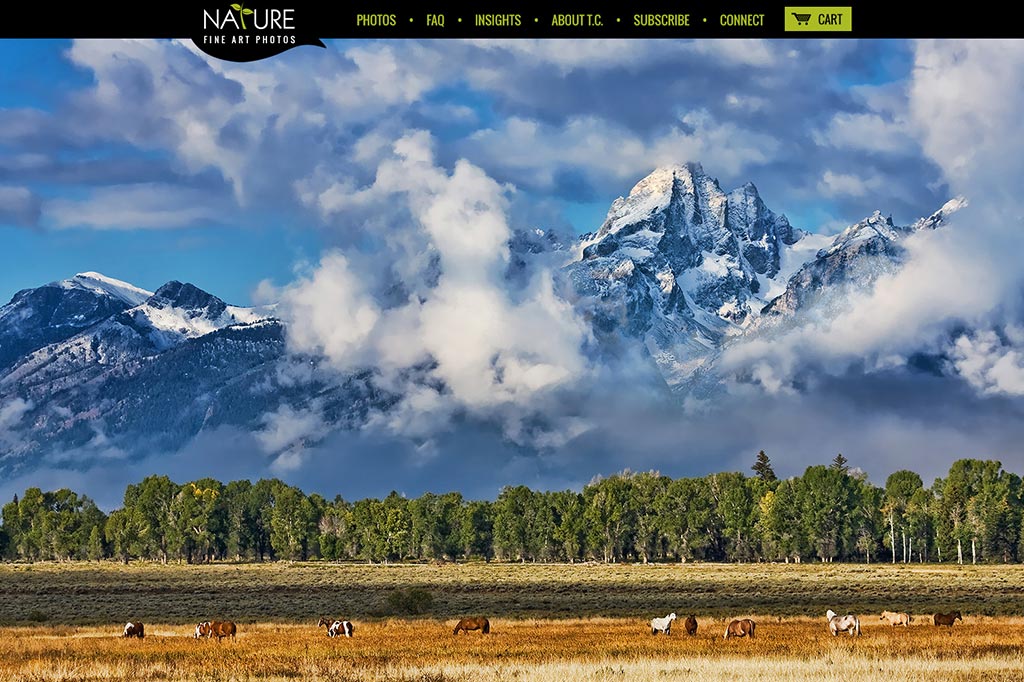 outdoor lifestyle web design